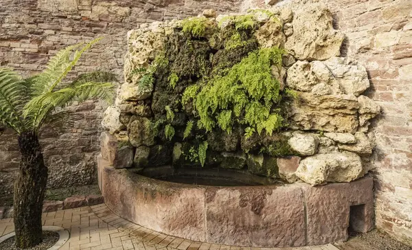 Foto: Staatliche Schlösser und Gärten Baden-Württemberg, Dirk Altenkirch Botanischer Garten Karlsruhe, Kamelien- und Sukkulentenhaus, Tuffsteinbrunnen